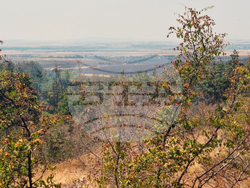 Местност Бакаджик - пожар