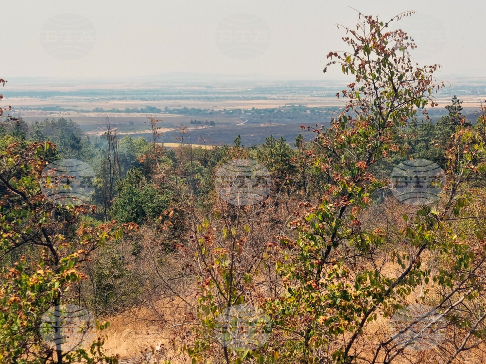 Осемгодишно дете предизвика пожар във Варненско