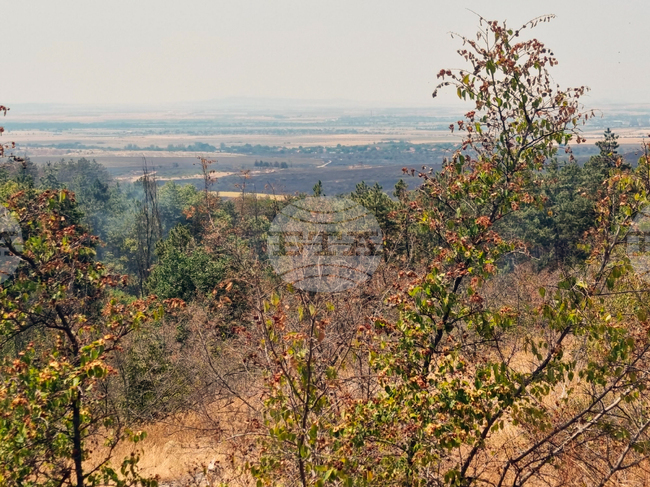 Осемгодишно дете предизвика пожар във Варненско