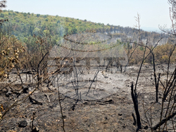 Местност Бакаджик - пожар