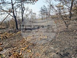 Местност Бакаджик - пожар