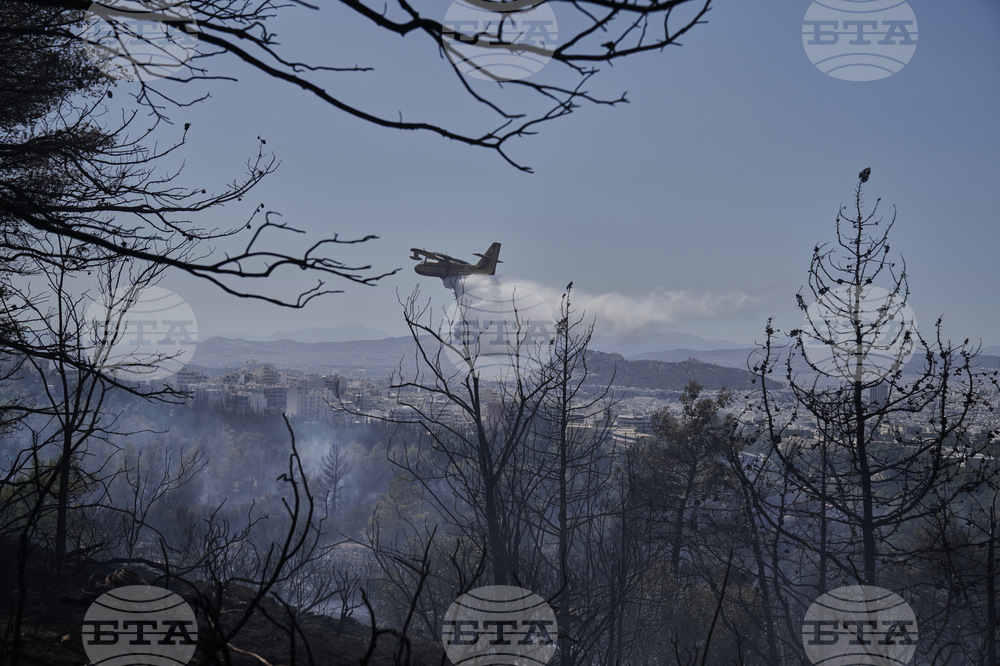 Greece Wildfires