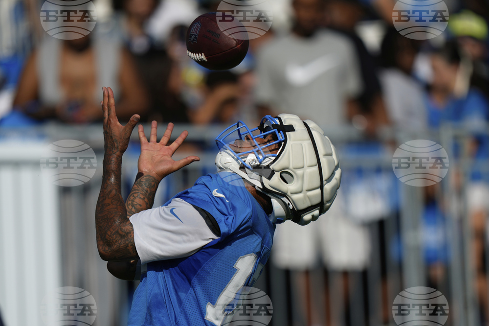 Lions Football
