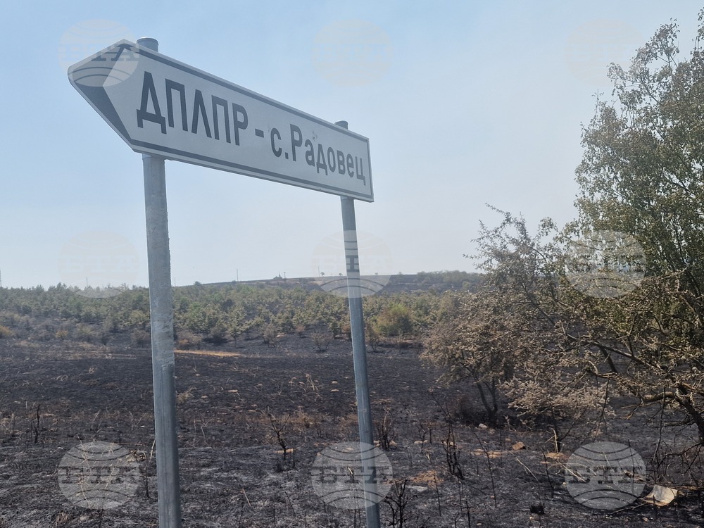 Село Радовец - пожар