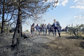 Село Илинденци - землище - пожар