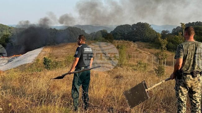 Total of 167 Fires Extinguished in Bulgaria Over Past 24 Hours, One Person Injured