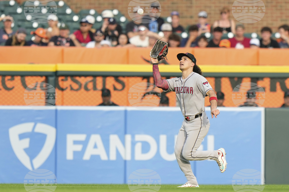 Diamondbacks Tigers Baseball