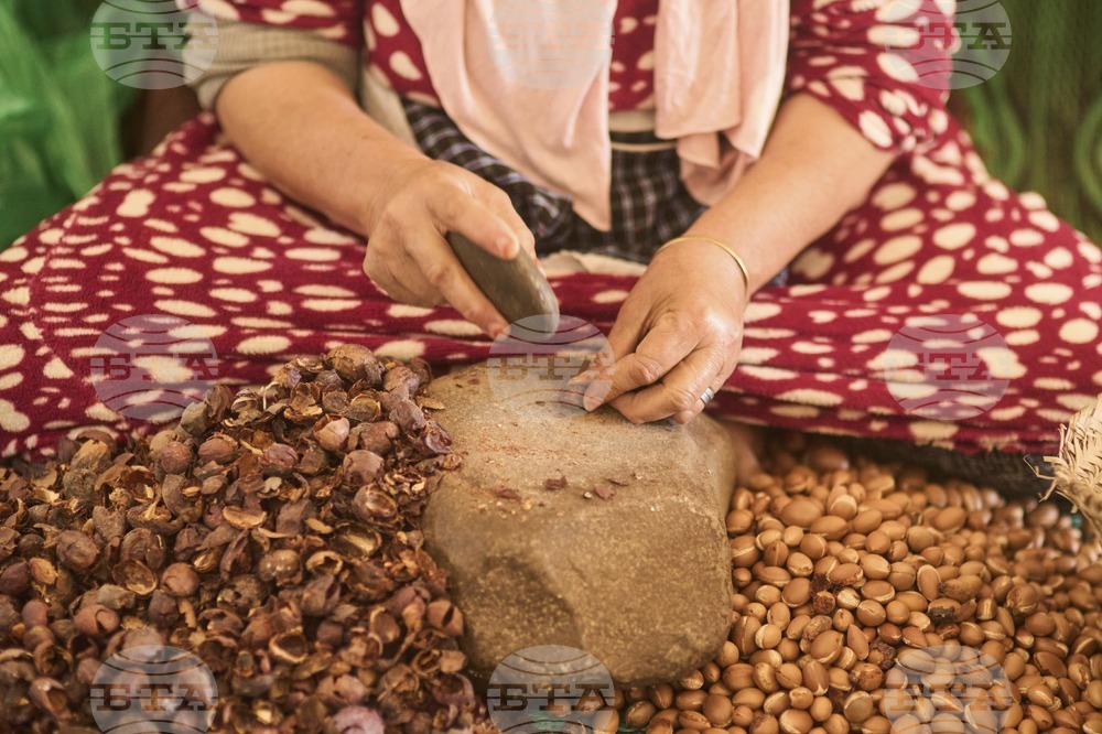 Morocco Argan Oil Industry Boom