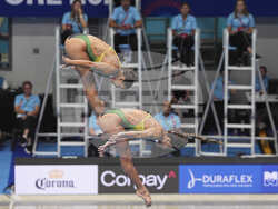 Singapore Swimming Worlds