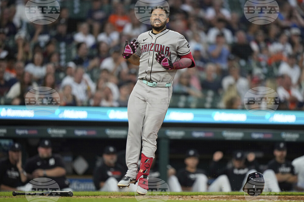 Diamondbacks Tigers Baseball