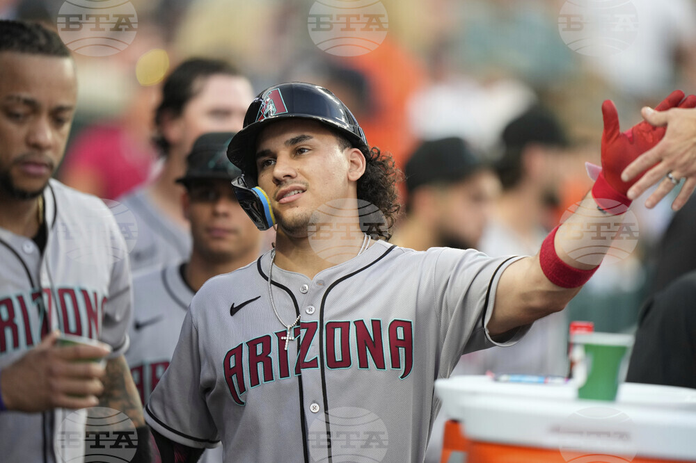 Diamondbacks Tigers Baseball