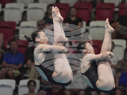 Singapore Swimming Worlds