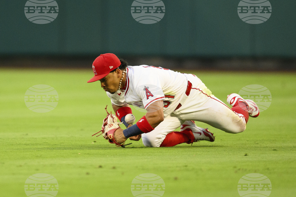Rangers Angels Baseball