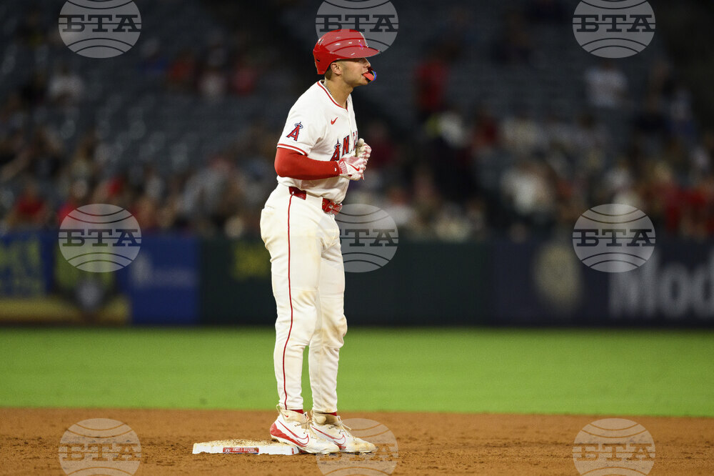 Rangers Angels Baseball