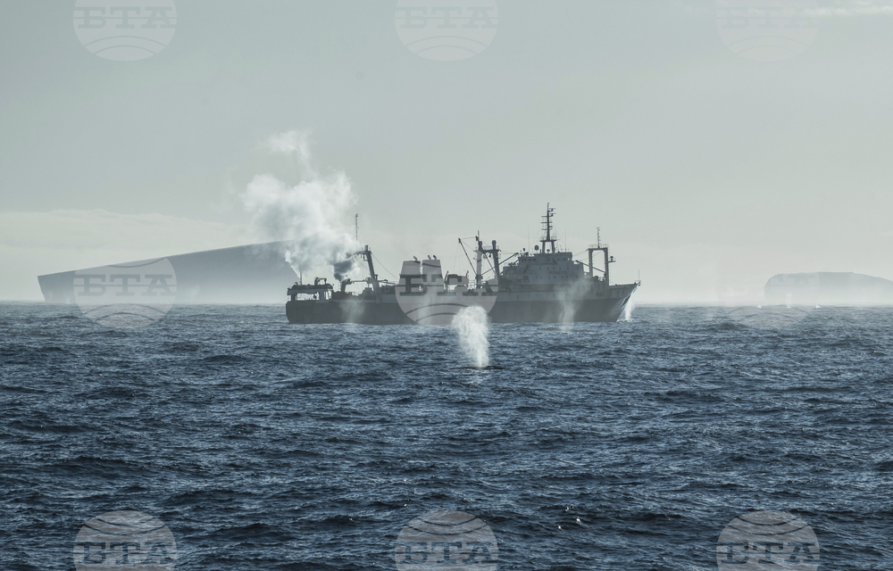 Ocean-Fisheries-Antarctic-Krill