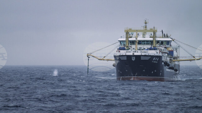 Страните от ЕС се споразумяха за квотите за риболов през 2026 г. и отхвърлиха някои по-строги ограничения за улов в Средиземно море