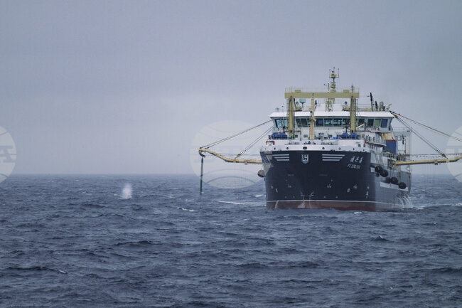 Страните от ЕС се споразумяха за квотите за риболов през 2026 г. и отхвърлиха някои по-строги ограничения за улов в Средиземно море