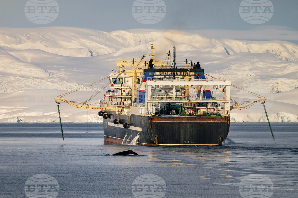 Ocean-Fisheries-Antarctic-Krill