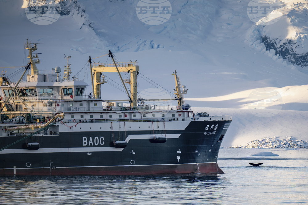 Ocean-Fisheries-Antarctic-Krill