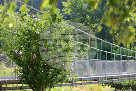 Благоевград - река Благоевградска Бистрица - засушаване