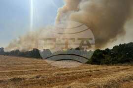 Тополовград - пожар