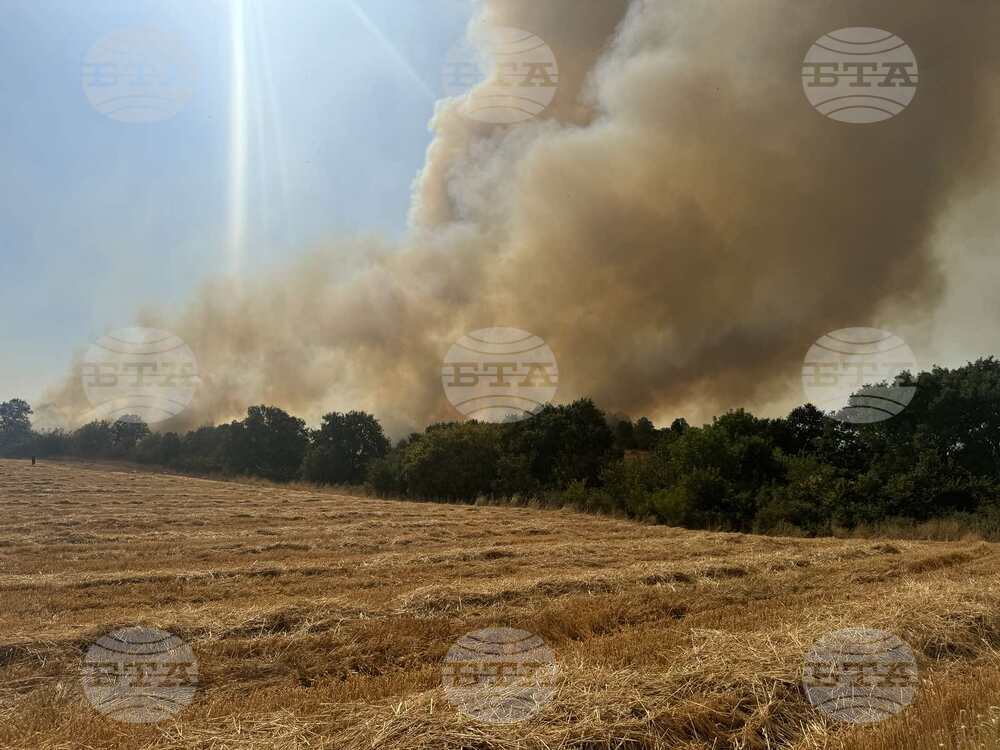 Пожарът в Природен парк "Рилски манастир" обхвана местообитания на скален орел и трипръст кълвач