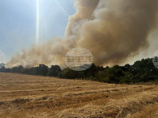 Пожарникарите в Пазарджишко са гасили 312 огнени огнища през юли