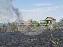 Ямбол - пожар - местност Курткая