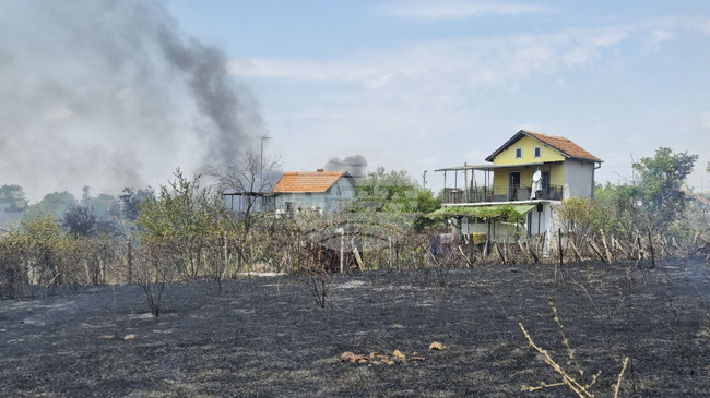 Общо 172 пожара са потушени в страната през изминалото денонощие 