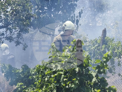Ямбол - пожар - местност Курткая