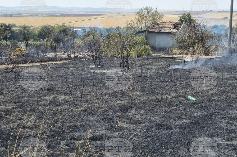 Ръководството на ДФЗ припомня на земеделските стопани за важни срокове за кандидатстване за подкрепа заради пожарите и за пропаднали площи