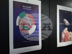 Галерия „Средец“ - блиц изложба „Ре-акция: България и еврото“