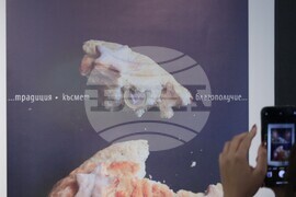 Галерия „Средец“ - блиц изложба „Ре-акция: България и еврото“