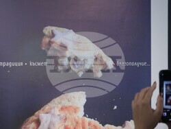 Галерия „Средец“ - блиц изложба „Ре-акция: България и еврото“