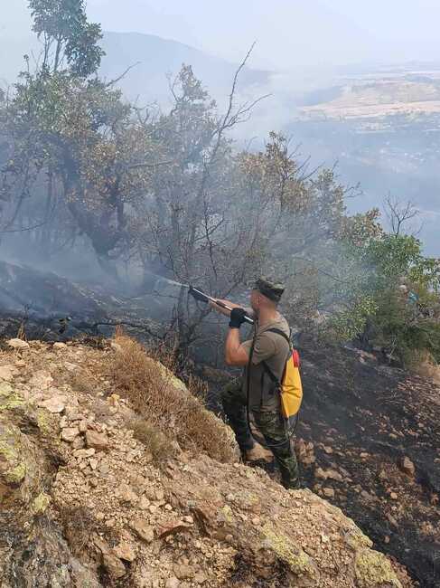 Пожарът, възникнал днес във вилната зона на Сливен, в местността Андреева чешма, е овладян