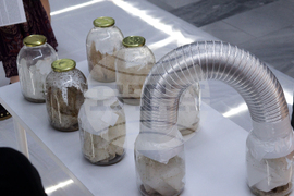 Софийска градска художествена галерия - номинирани художници за Наградата за съвременно изкуство "База 2025" - изложба