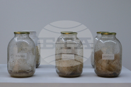 Софийска градска художествена галерия - номинирани художници за Наградата за съвременно изкуство "База 2025" - изложба