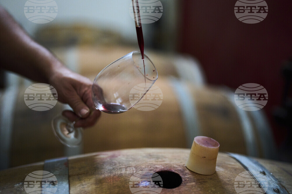 Spain Wine