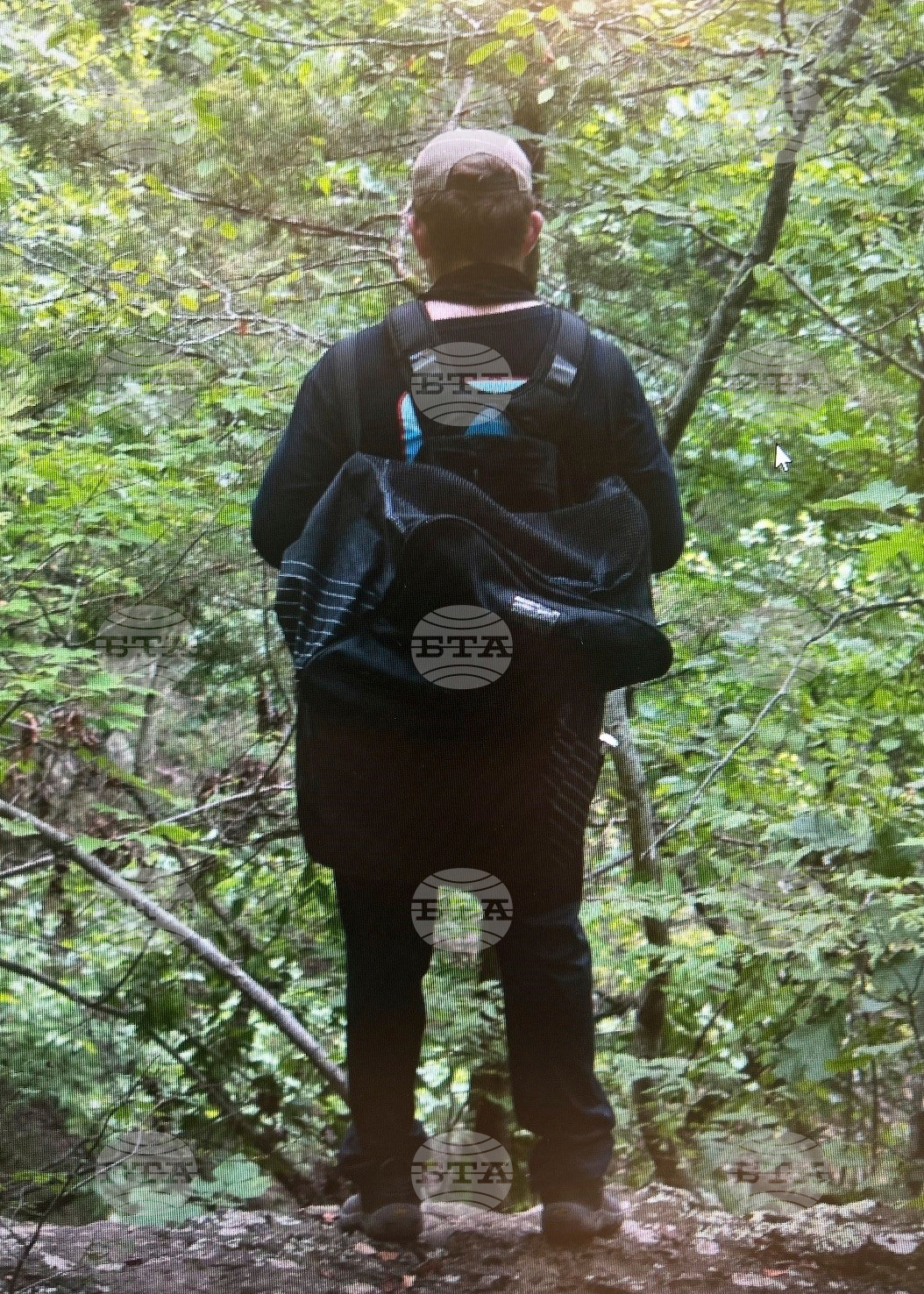 Arkansas Hikers Killed
