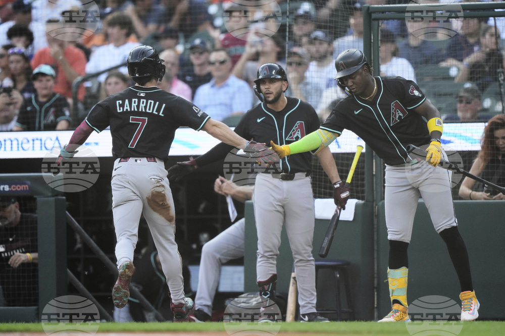 Diamondbacks Tigers Baseball