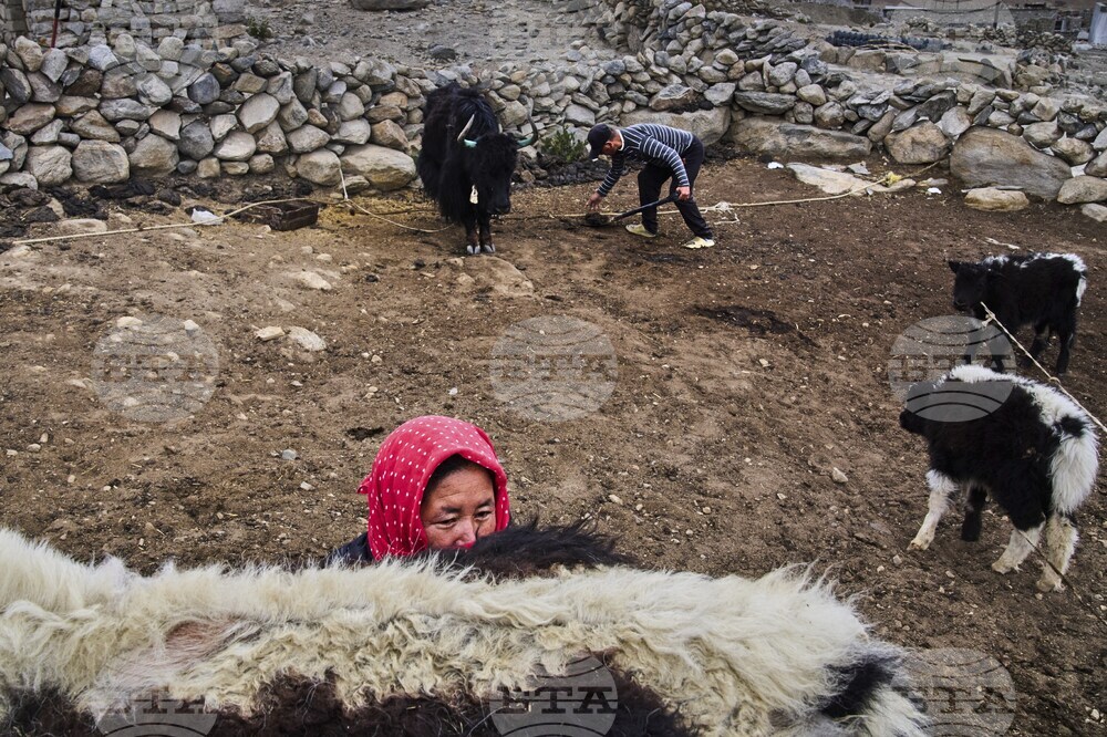 APTOPIX Climate India Heat Yak Herders