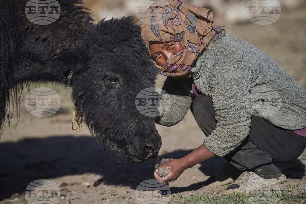 Climate India Heat Yak Herders
