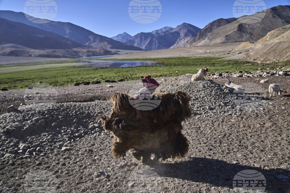Climate India Heat Yak Herders