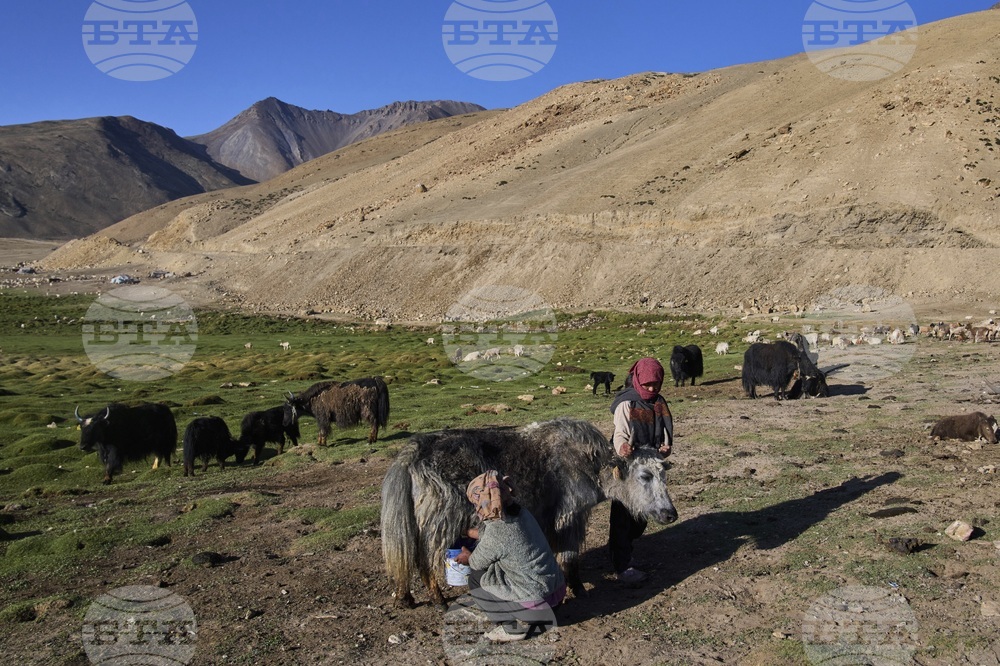 Climate India Heat Yak Herders