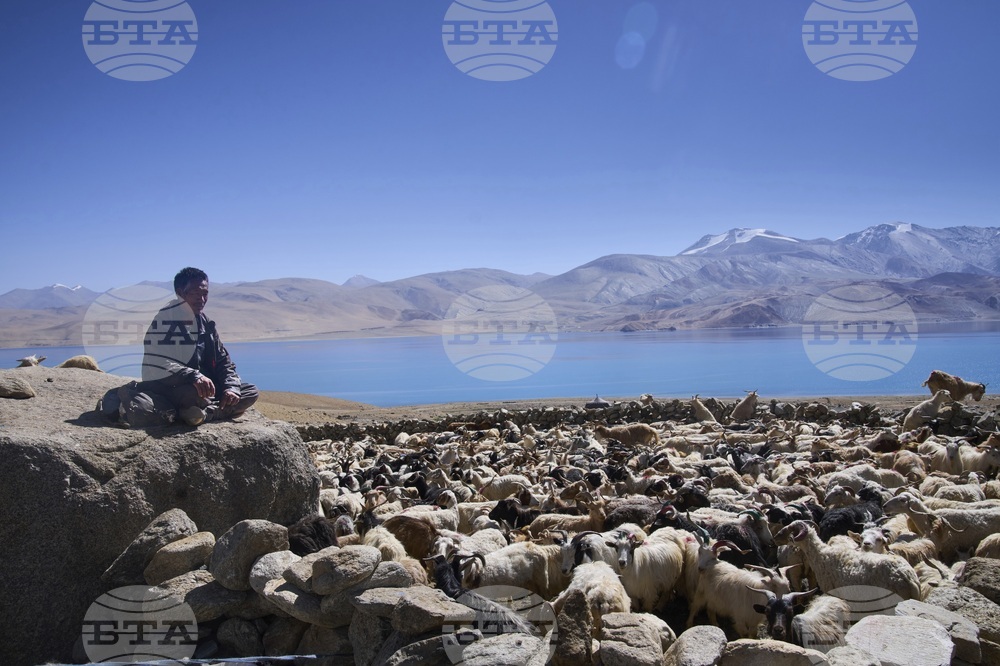 Climate India Heat Yak Herders