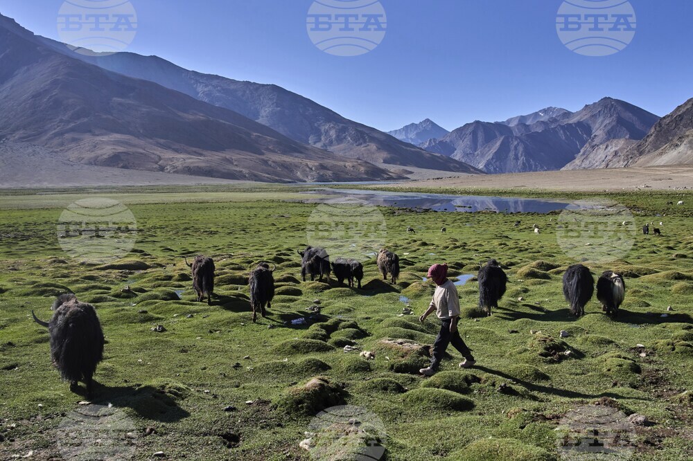 Climate India Heat Yak Herders