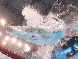 Singapore Swimming Worlds