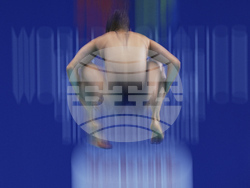 Singapore Swimming Worlds