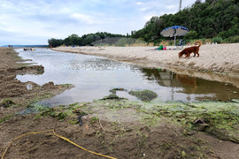 Варна - река Камчия - маловодие