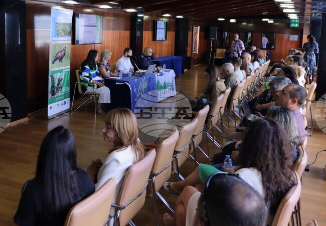 Има близо 1000 двойки малък креслив орел в България, каза Ваня Рътарова от Българско дружество за защита на птиците